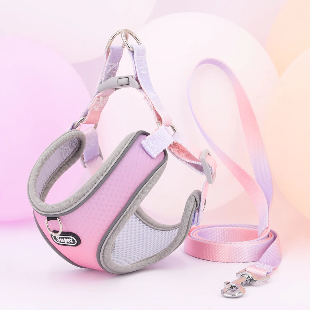 Colorful Secure Harness
