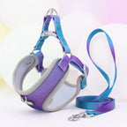 Colorful Secure Harness