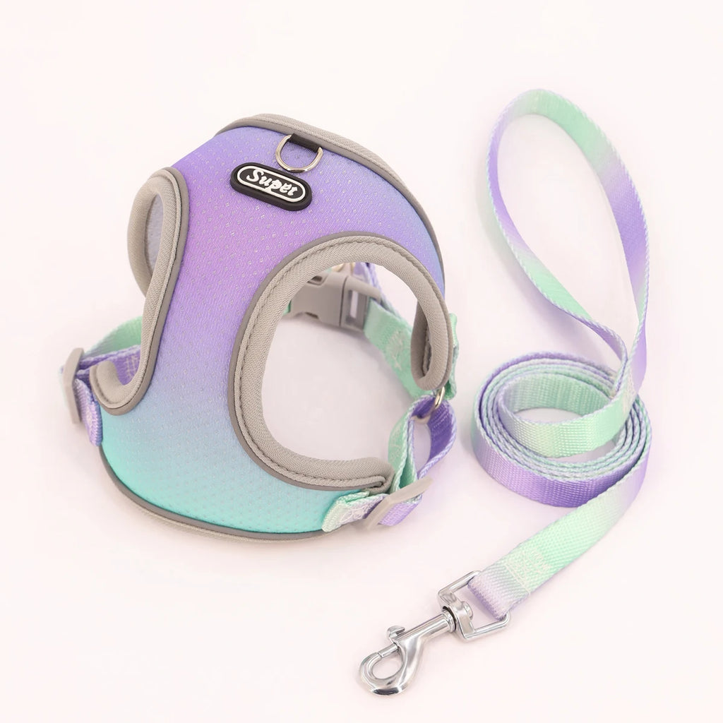Colorful Secure Harness