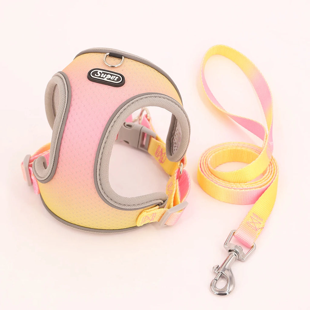 Colorful Secure Harness