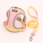 Colorful Secure Harness