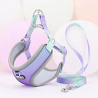 Colorful Secure Harness