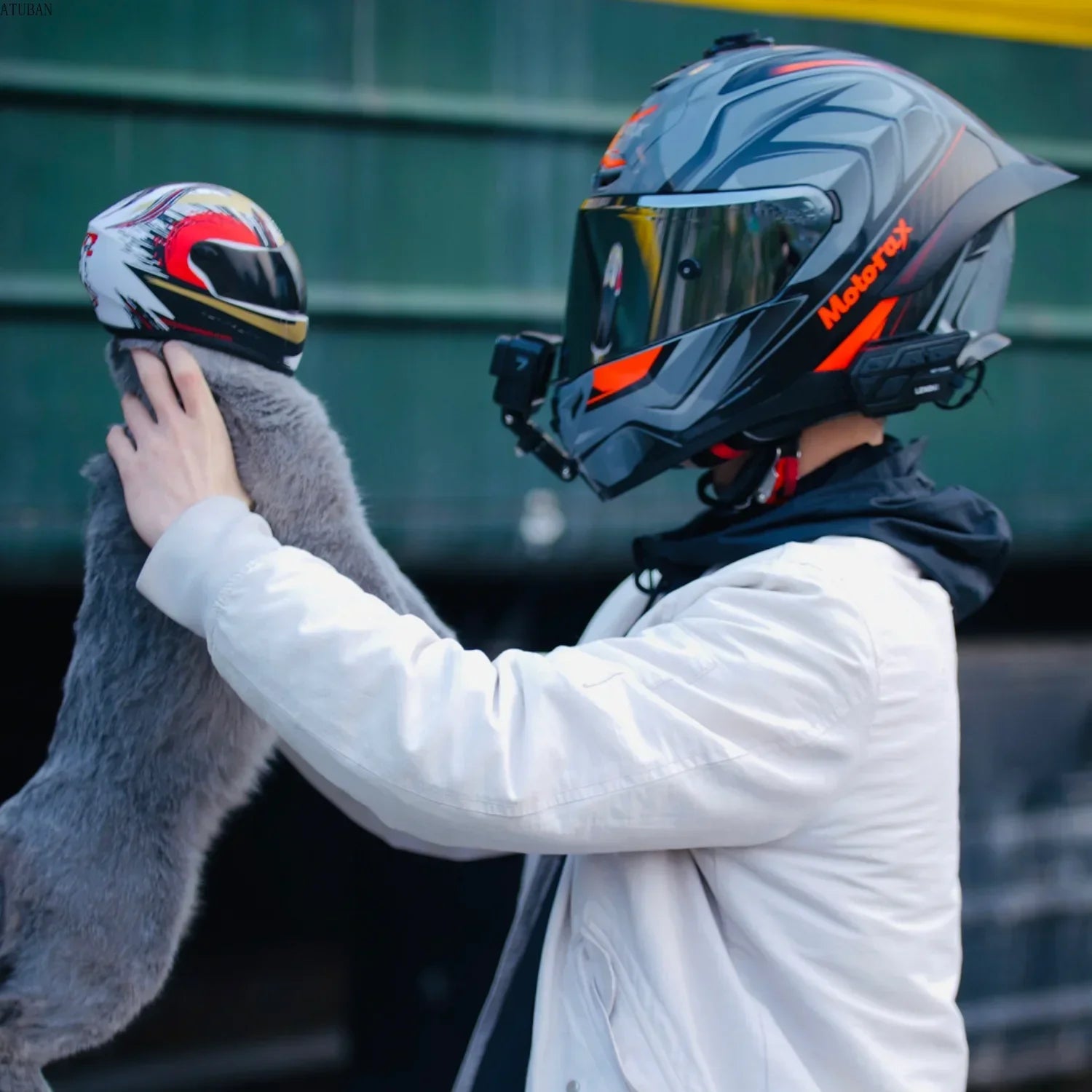 Mini Rider Pet Helmet