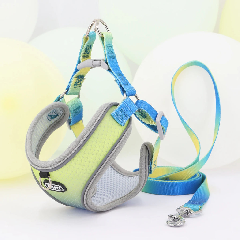 Colorful Secure Harness