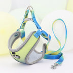 Colorful Secure Harness